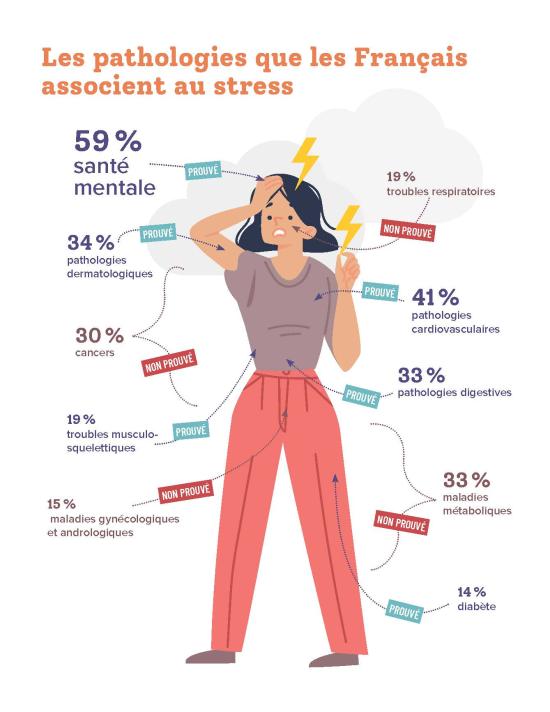 pathologies stress - infographie